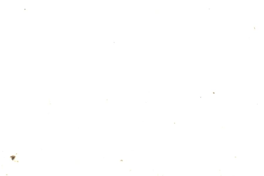 Image 179
